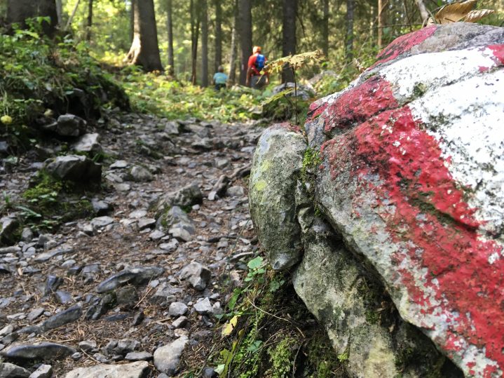 Rot-weiß-markierter Stein im Wald