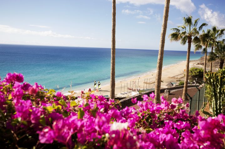 Blumen und Palmen an der Strandpromenade auf Fuerteventura