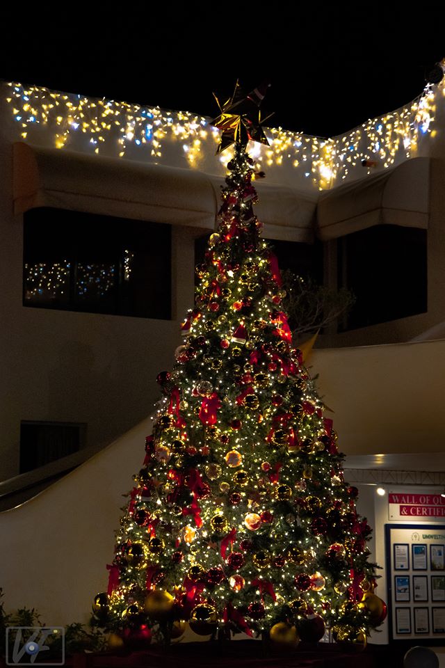 Er leuchtet: der festlich geschmückte Weihnachtsbaum im ROBINSON Club Esquinzo Playa